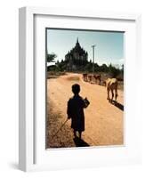 A Young Burmese Boy Tends His Family's Cows Near the Thatbinnyu Temple-null-Framed Photographic Print