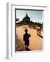 A Young Burmese Boy Tends His Family's Cows Near the Thatbinnyu Temple-null-Framed Photographic Print