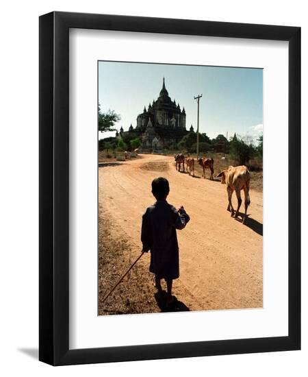 Premium Photographic Print, , large