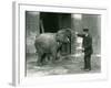 A Young Female Indian Elephant with Keeper H. Robertson, London Zoo, 22nd February 1922-Frederick William Bond-Framed Photographic Print