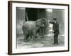 A Young Female Indian Elephant with Keeper H. Robertson, London Zoo, 22nd February 1922-Frederick William Bond-Framed Photographic Print