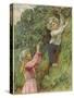 A Young Girl and a Young Boy Picking Blackberries-Eveline Lance-Stretched Canvas