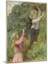 A Young Girl and a Young Boy Picking Blackberries-Eveline Lance-Mounted Giclee Print