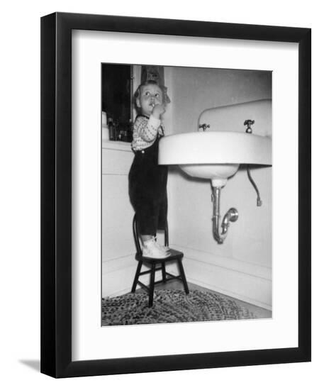Premium Photographic Print, , large