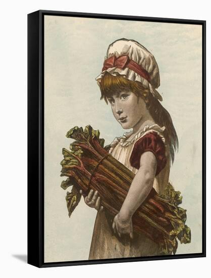 A Young Girl Carrying a Large Bunch of Rhubarb under Her Arm-null-Framed Stretched Canvas