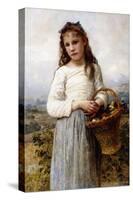 A Young Girl with a Basket of Fruit, 1905-William Adolphe Bouguereau-Stretched Canvas