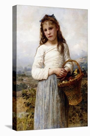 A Young Girl with a Basket of Fruit, 1905-William Adolphe Bouguereau-Stretched Canvas