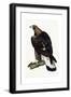 A Young Golden Eagle, 1841-Prideaux John Selby-Framed Giclee Print