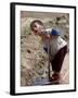 A Young Internally-Displaced Child at a Camp for Displaced Iraqis Who Have Fled Violence-null-Framed Photographic Print