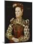 A Young Lady Aged 21, Possibly Helena Snakenborg, Later Marchioness of Northampton-British School 16th century-Mounted Premium Giclee Print