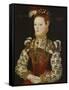 A Young Lady Aged 21, Possibly Helena Snakenborg, Later Marchioness of Northampton-British School 16th century-Framed Stretched Canvas