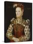 A Young Lady Aged 21, Possibly Helena Snakenborg, Later Marchioness of Northampton-British School 16th century-Stretched Canvas