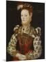 A Young Lady Aged 21, Possibly Helena Snakenborg, Later Marchioness of Northampton-British School 16th century-Mounted Premium Giclee Print