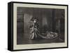 A Young Lady of Properties-Charles Joseph Staniland-Framed Stretched Canvas