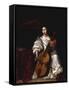 A Young Lady Playing a Violoncello-Renier de la Haye-Framed Stretched Canvas