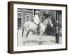 A Young Lady Riding an Ass Which Is Being Led by One Keeper While Another Looks On-Frederick William Bond-Framed Photographic Print