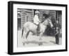 A Young Lady Riding an Ass Which Is Being Led by One Keeper While Another Looks On-Frederick William Bond-Framed Photographic Print