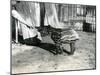 A Young Malayan Tapir with Keeper at London Zoo, 18th October 1921-Frederick William Bond-Mounted Premium Photographic Print