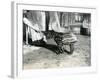 A Young Malayan Tapir with Keeper at London Zoo, 18th October 1921-Frederick William Bond-Framed Photographic Print