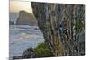 A Young Male Climber Ascends the Coastal Route: Kuda Laut a 5.11A in Siung Beach-Dan Holz-Mounted Photographic Print