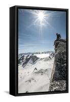 A Young Male Climber on the Summit of Pigeon Spire, Bugaboos, British Columbia-Steven Gnam-Framed Stretched Canvas