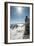 A Young Male Climber on the Summit of Pigeon Spire, Bugaboos, British Columbia-Steven Gnam-Framed Photographic Print