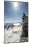 A Young Male Climber on the Summit of Pigeon Spire, Bugaboos, British Columbia-Steven Gnam-Mounted Photographic Print