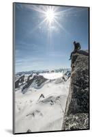 A Young Male Climber on the Summit of Pigeon Spire, Bugaboos, British Columbia-Steven Gnam-Mounted Photographic Print