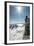 A Young Male Climber on the Summit of Pigeon Spire, Bugaboos, British Columbia-Steven Gnam-Framed Photographic Print