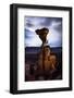 A Young Male Climbs the Single Pitch Mini-Tower: Cobra 5.11A- Fisher Towers - Moab, Utah-Dan Holz-Framed Photographic Print