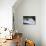 A Young Male Kayaker Drops in to Big Brother on the White Salmon River in Washington-Bennett Barthelemy-Photographic Print displayed on a wall