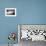 A Young Male Skier Clicks into His Bindings in the Backcountry Near Mt Baker Ski Area in Washington-Jay Goodrich-Framed Photographic Print displayed on a wall