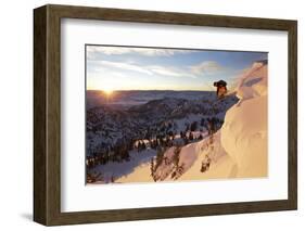 A Young Male Skier Jumps of the Side of a Mountain at Alta, Uthah-Adam Barker-Framed Photographic Print