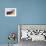 A Young Male Skier Jumps of the Side of a Mountain at Alta, Uthah-Adam Barker-Framed Photographic Print displayed on a wall