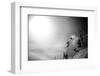 A Young Male Skier Jumps Off the Side of a Mountain at Alta, Utah-Adam Barker-Framed Photographic Print