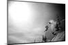 A Young Male Skier Jumps Off the Side of a Mountain at Alta, Utah-Adam Barker-Mounted Photographic Print