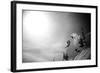 A Young Male Skier Jumps Off the Side of a Mountain at Alta, Utah-Adam Barker-Framed Photographic Print