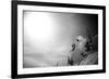 A Young Male Skier Jumps Off the Side of a Mountain at Alta, Utah-Adam Barker-Framed Photographic Print