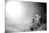 A Young Male Skier Jumps Off the Side of a Mountain at Alta, Utah-Adam Barker-Mounted Photographic Print