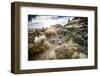 A Young Male Trail Runs Along the Desert Floor of Vantage, Washington-Dan Holz-Framed Photographic Print