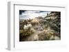 A Young Male Trail Runs Along the Desert Floor of Vantage, Washington-Dan Holz-Framed Photographic Print