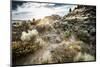 A Young Male Trail Runs Along the Desert Floor of Vantage, Washington-Dan Holz-Mounted Photographic Print