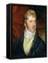 A Young Man, 1815 (Oil on Canvas)-James Ward-Framed Stretched Canvas