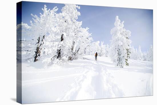 A Young Man Enjoying Backcountry Skiing on Mt. Tumalo, Oregon Cascades-Bennett Barthelemy-Stretched Canvas