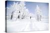 A Young Man Enjoying Backcountry Skiing on Mt. Tumalo, Oregon Cascades-Bennett Barthelemy-Stretched Canvas