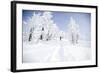 A Young Man Enjoying Backcountry Skiing on Mt. Tumalo, Oregon Cascades-Bennett Barthelemy-Framed Photographic Print