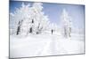 A Young Man Enjoying Backcountry Skiing on Mt. Tumalo, Oregon Cascades-Bennett Barthelemy-Mounted Photographic Print