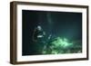 A Young Married Couple Scuba Diving in Devil's Den Springs Florida-null-Framed Photographic Print