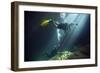 A Young Married Couple Scuba Diving in Devil's Den Springs Florida-null-Framed Premium Giclee Print