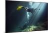 A Young Married Couple Scuba Diving in Devil's Den Springs Florida-null-Mounted Premium Giclee Print